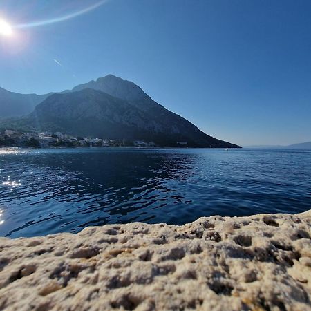 Apartments Palma Gradac  Exteriör bild