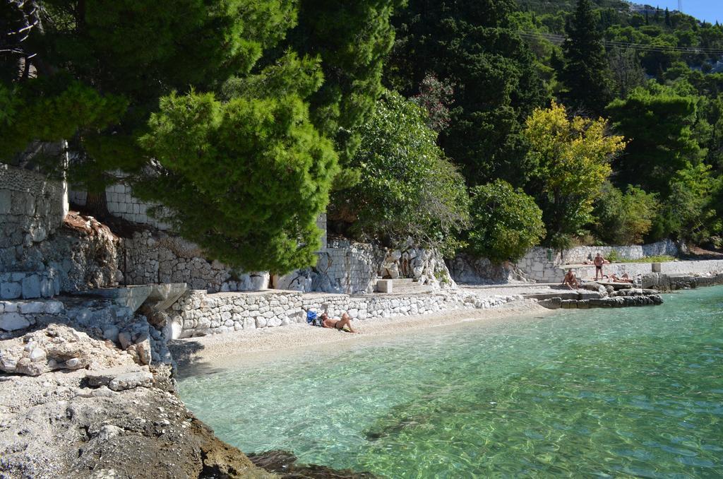 Apartments Palma Gradac  Rum bild