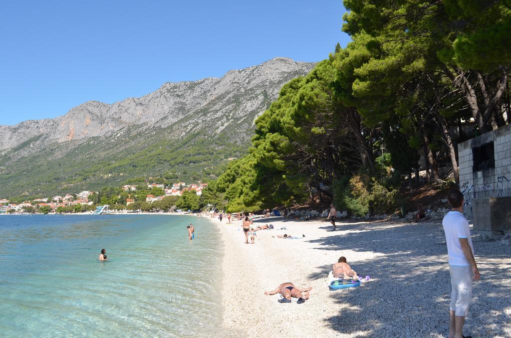 Apartments Palma Gradac  Rum bild