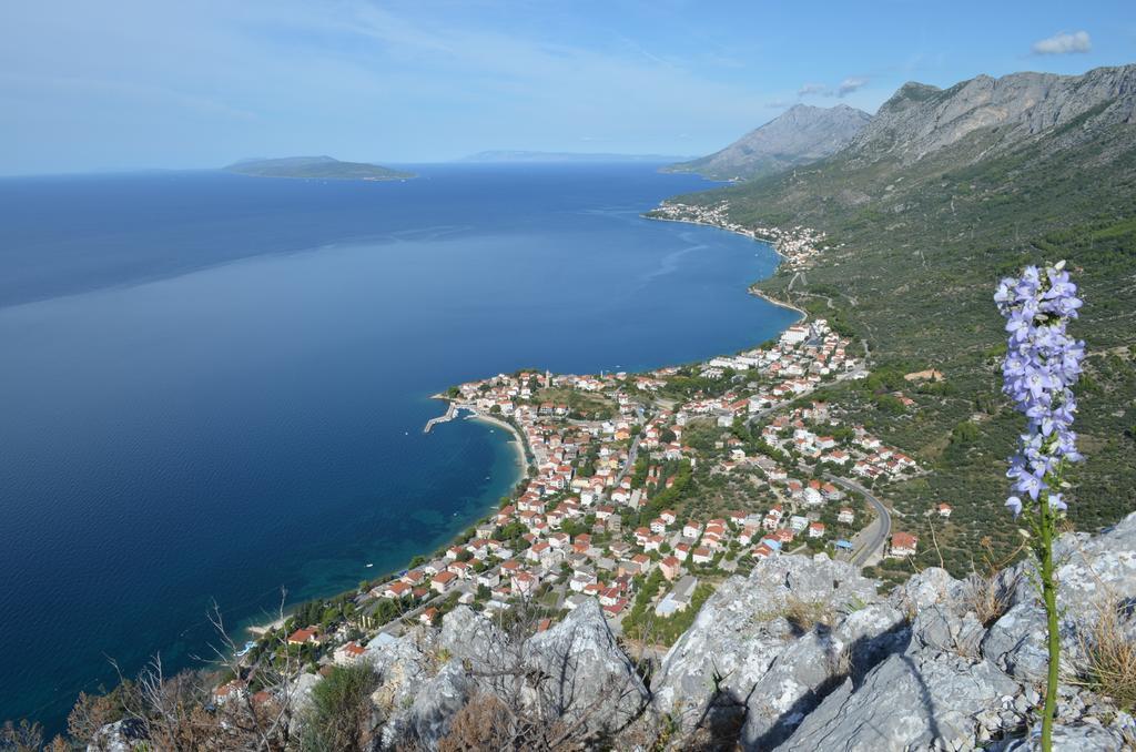 Apartments Palma Gradac  Rum bild
